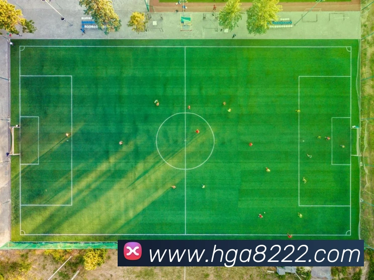 奖项图2
